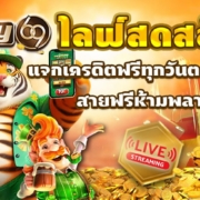 PAY69 ไลฟ์สดสล็อต แจกเครดิตฟรีทุกวันตลอดไลฟ์ สายฟรีห้ามพลาด
